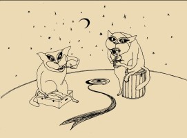 Кошки едят ночью